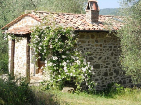 Гостиница Podere di Maggio - Casa Olivi  Санта Фьора